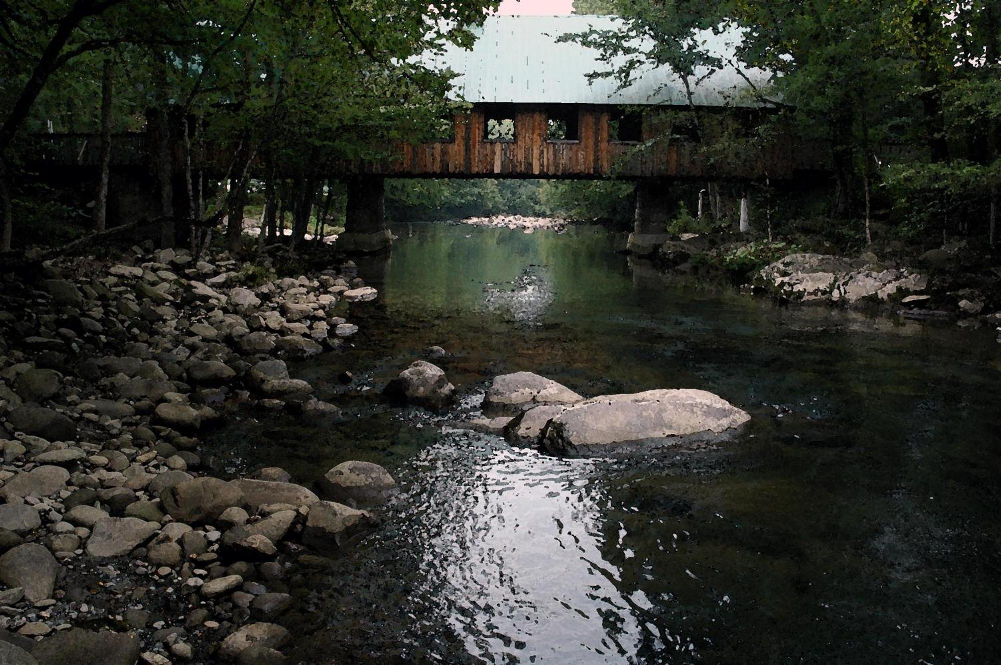 Zen Garden #1523 Villa Гетлинбург Екстериор снимка